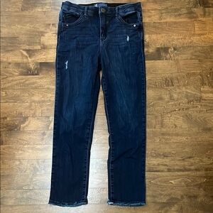 Democracy Ab Solution Distressed Dark Blue Jeans